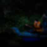 Kuala Selangor Fireflies include boat ride & Dinner at local restaurant with Shared Transfers