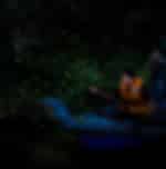 Kuala Selangor Fireflies include boat ride & Dinner at local restaurant with Shared Transfers
