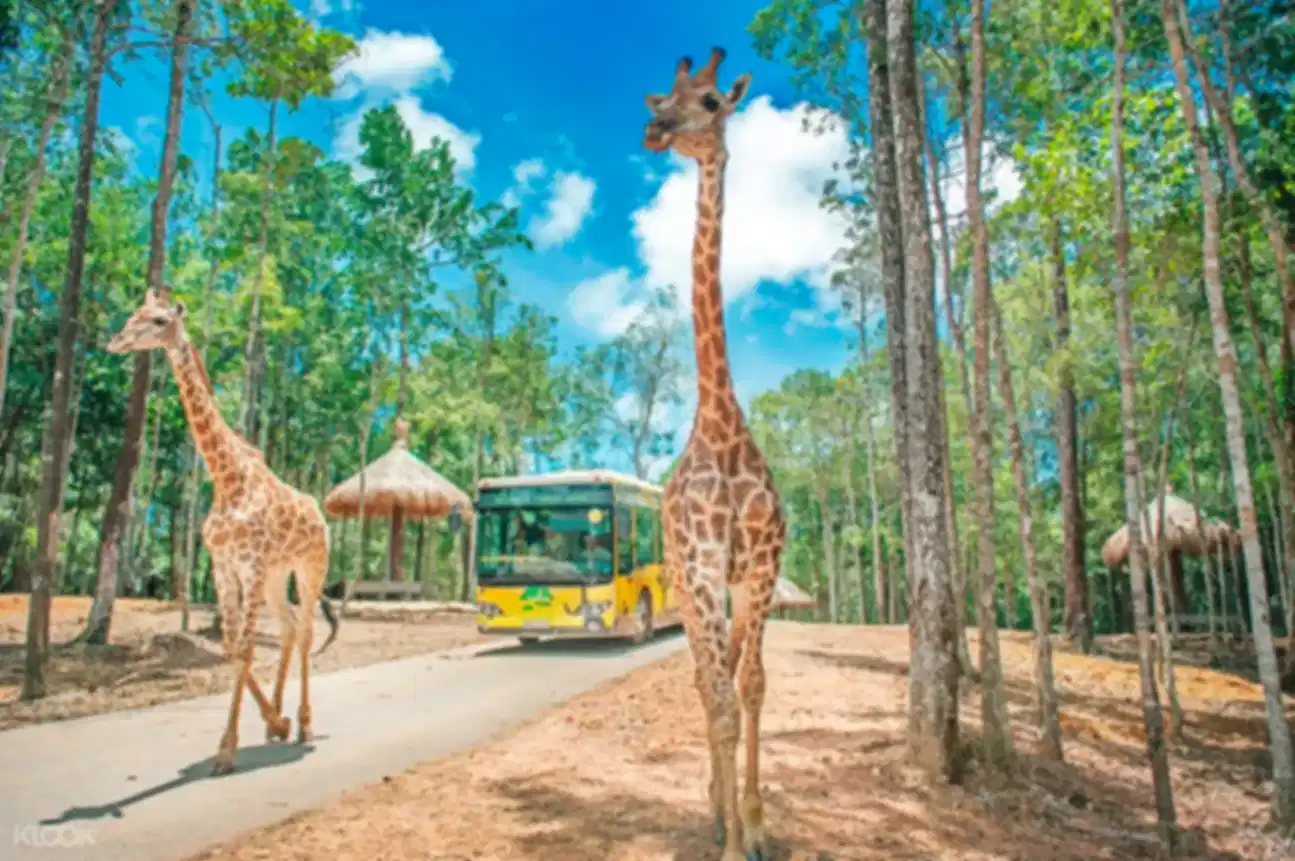Itinerary gallery 1