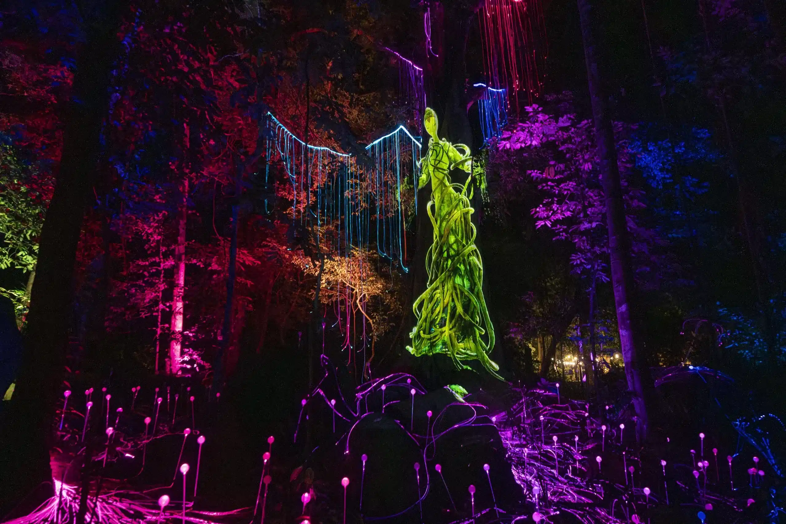 Half Day visit to Dream Forest Langkawi with private transfers