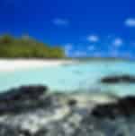 Sun, Sand & Sea Discovery Tour "Exclusive for Casuarina Hotel" with Shared Transfers