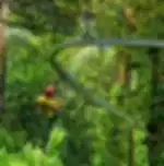 Phuket-Hanuman World : Luge 2 Rides + Combine World A+ Zipline 32 Platforms + Roller + Skywalk + Thai Meal with Private Transfer