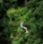 Phuket-Hanuman World : Zipline 18 Platforms (Shared Transfer)