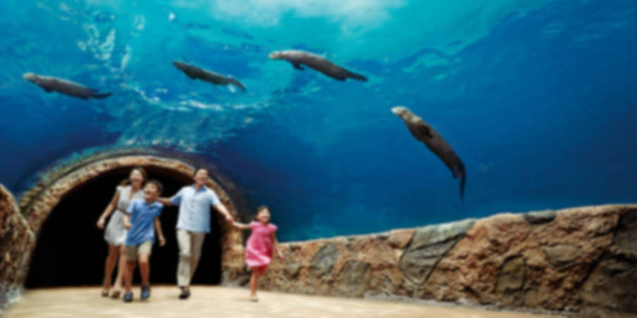 River wonders and Singapore zoo on shared transfers