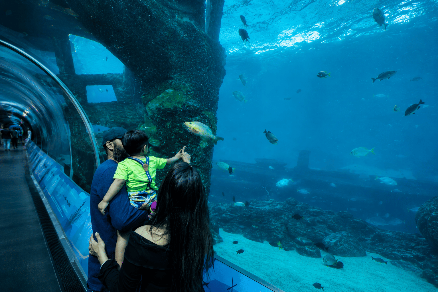 Sentosa Cable Car, Singapore Oceanarium and Wings of Time with Shared Transfers