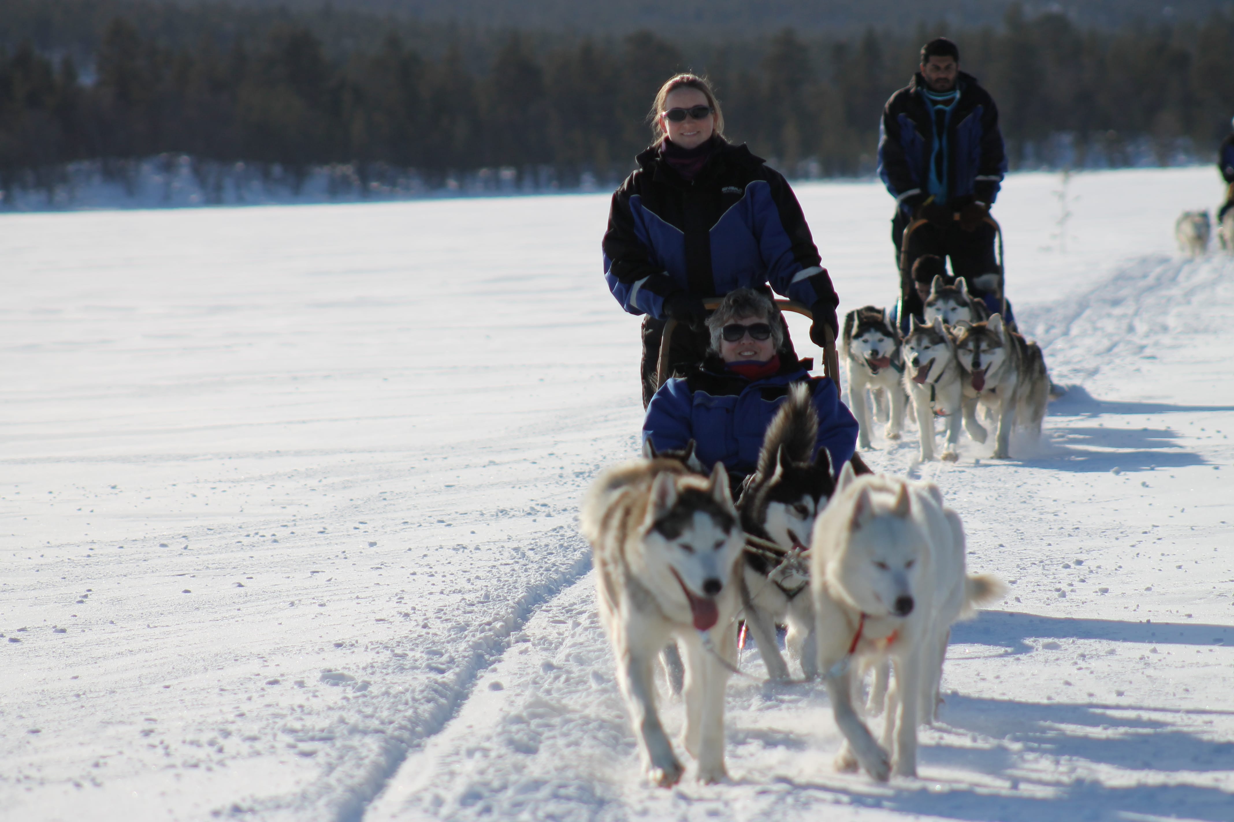 From Troms: Guided Husky Snowshoe Hike and Husky Camp Visit - From Tromsø: Snowshoe Hiking Tour and Husky Camp Visit