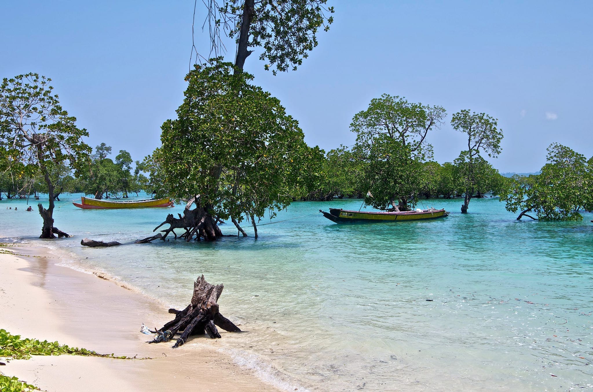 Day Trip to Baratang Island + Limestone Cave + Mud Volcano 