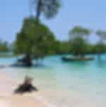 Day Trip to Baratang Island + Limestone Cave + Mud Volcano