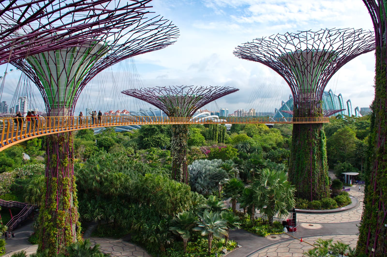 Gardens by the bay (Cloud forest and Flower dome) with shared transfers 