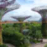 Gardens by the bay (Cloud forest and Flower dome) with shared transfers