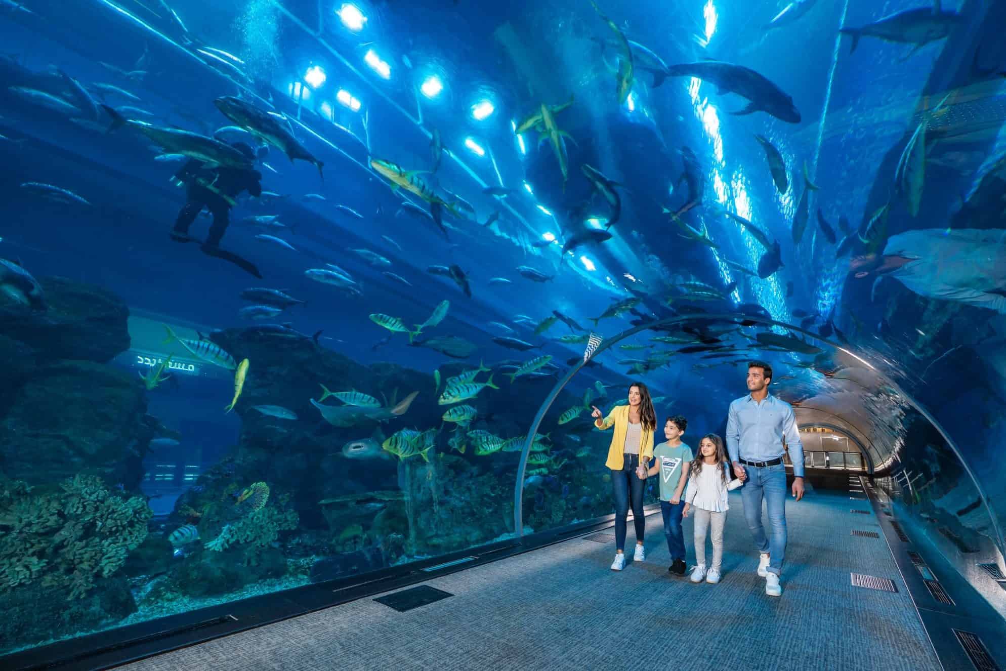Dubai City Tour with Burj Khalifa and Dubai Aquarium