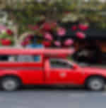 Chiang Mai Cab at Disposal within city for 3 hours