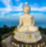 Phuket-City tour, Big Buddha and Tiger Park - Medium (Entry with Private Transfer) on enroute
