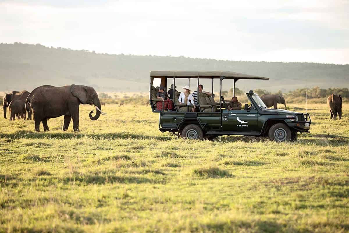 Half Day Game Drives at Maasai Mara