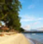 Historical North Island City tour "Exclusive for Casuarina Hotel" with Shared Transfers