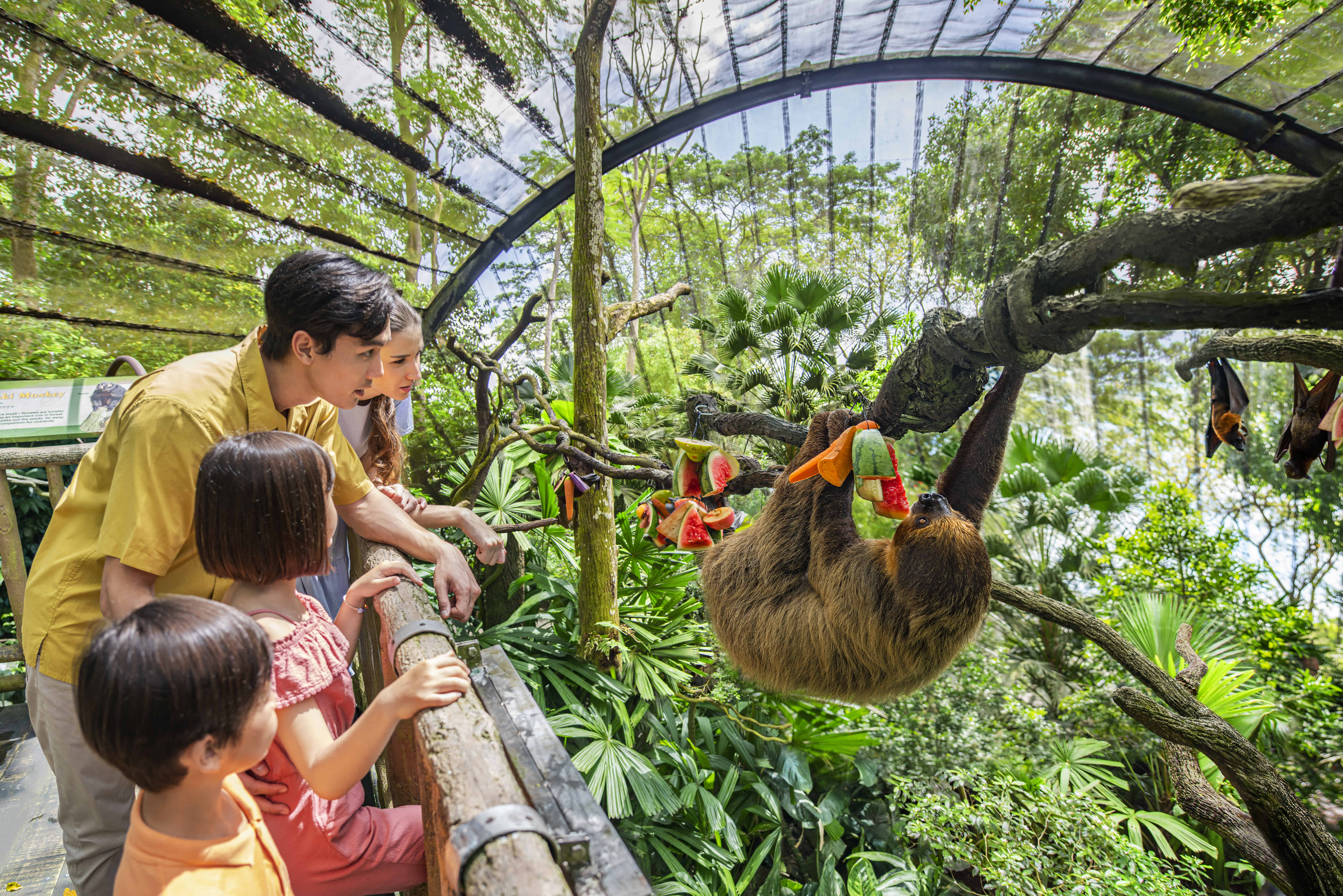 Singapore Zoo & Night Safari with shared transfers