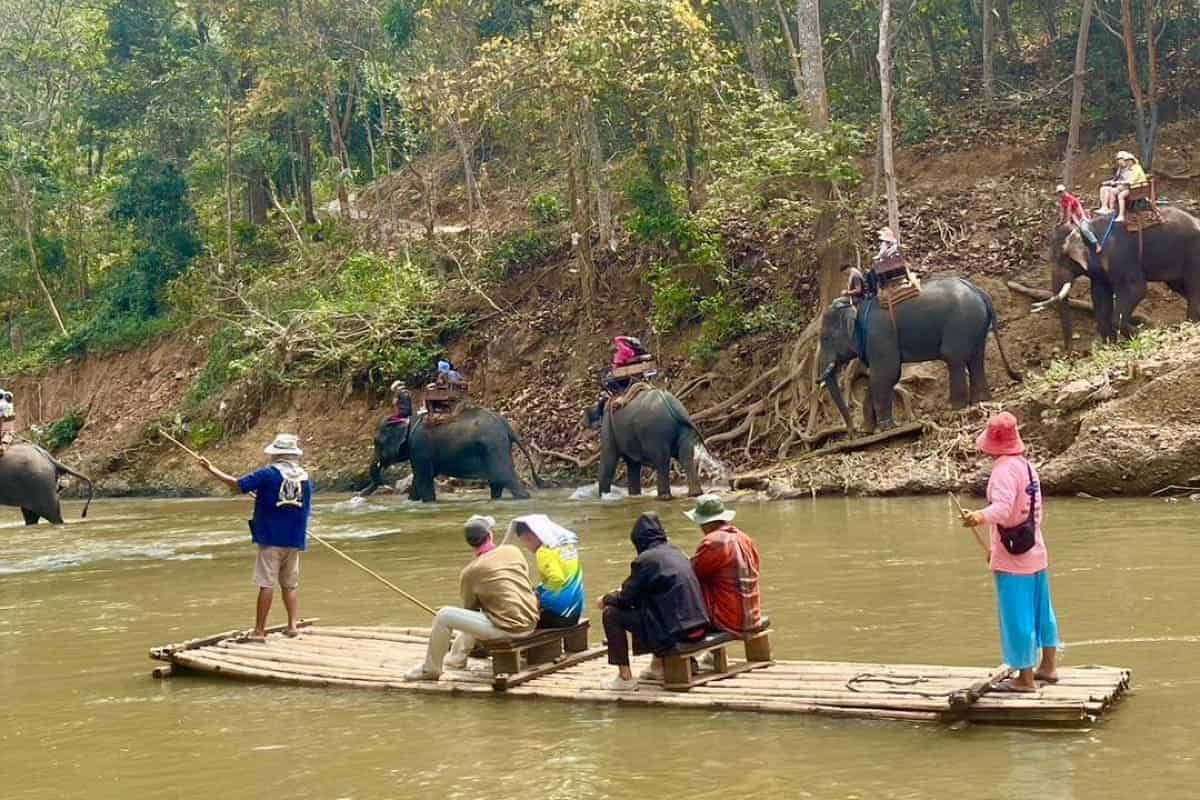 Chiang Mai-Full Day Experience Elephant Riding & Bamboo Rafting Tour with Lunch (Min 2 Pax) (Shared Transfer)