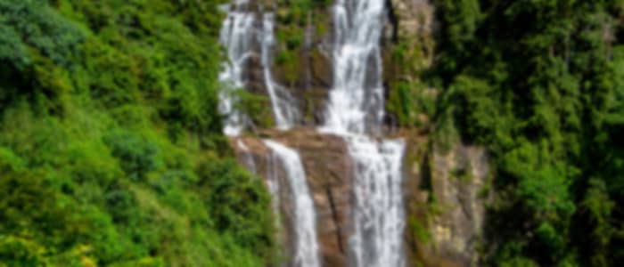Transfer with Ramboda Falls, Bakth Hanuman Temple, Tea Factory and Gregory Lake Enroute