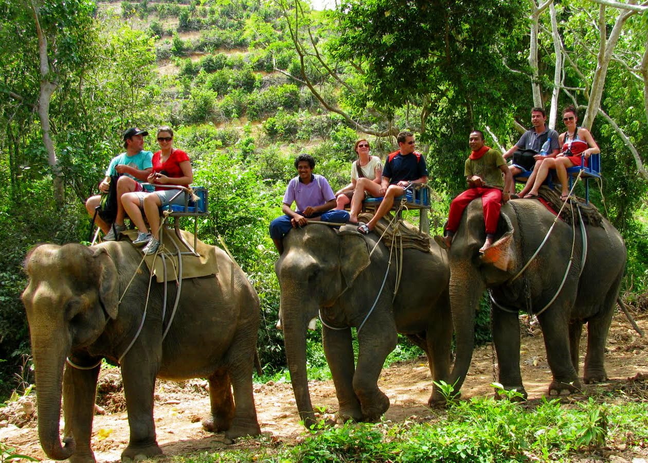 Phuket-Elephant Trekking 30 Min. (Phuket) (Shared Transfer)- A1