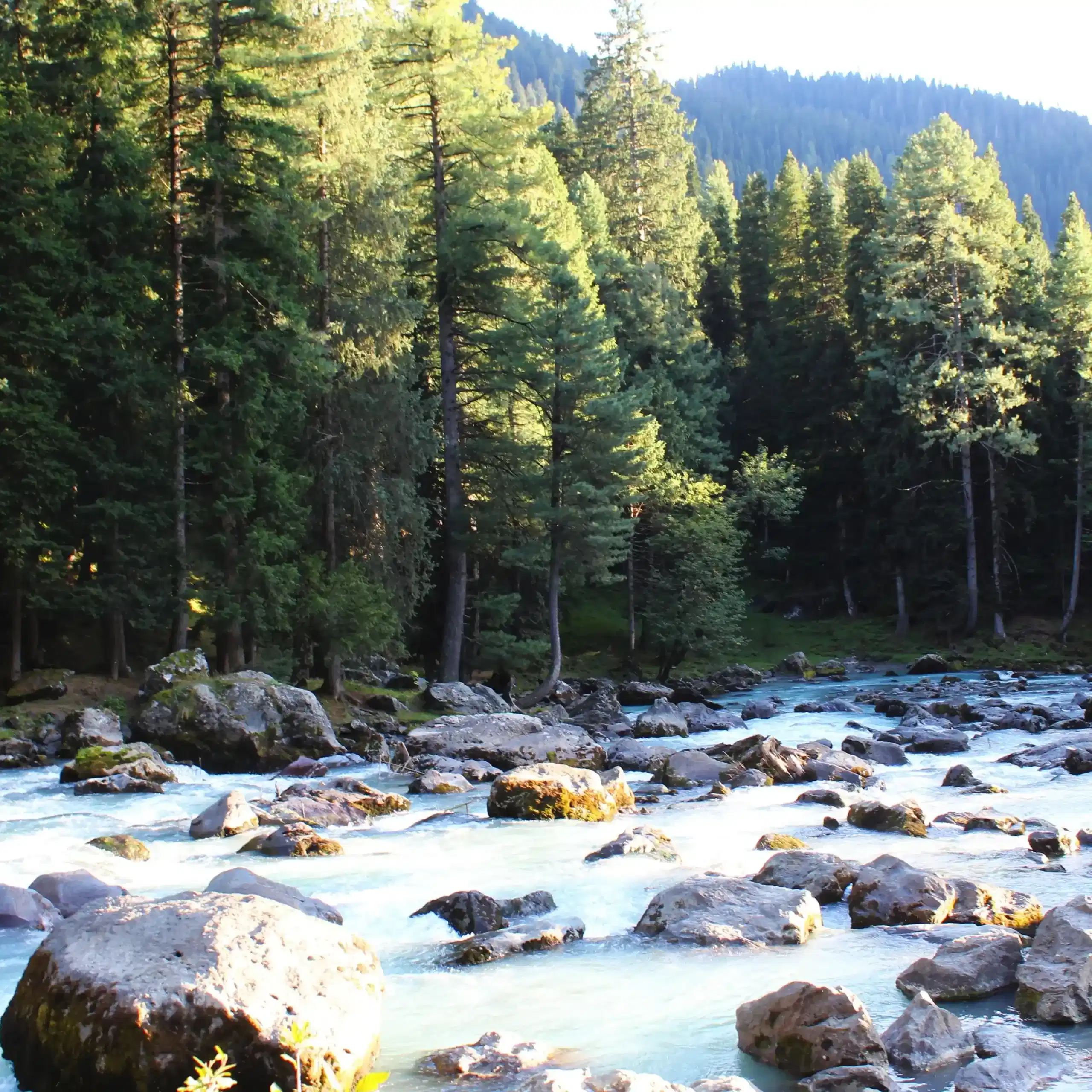 Pahalgam City Tour