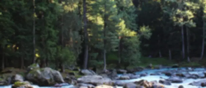 Pahalgam City Tour