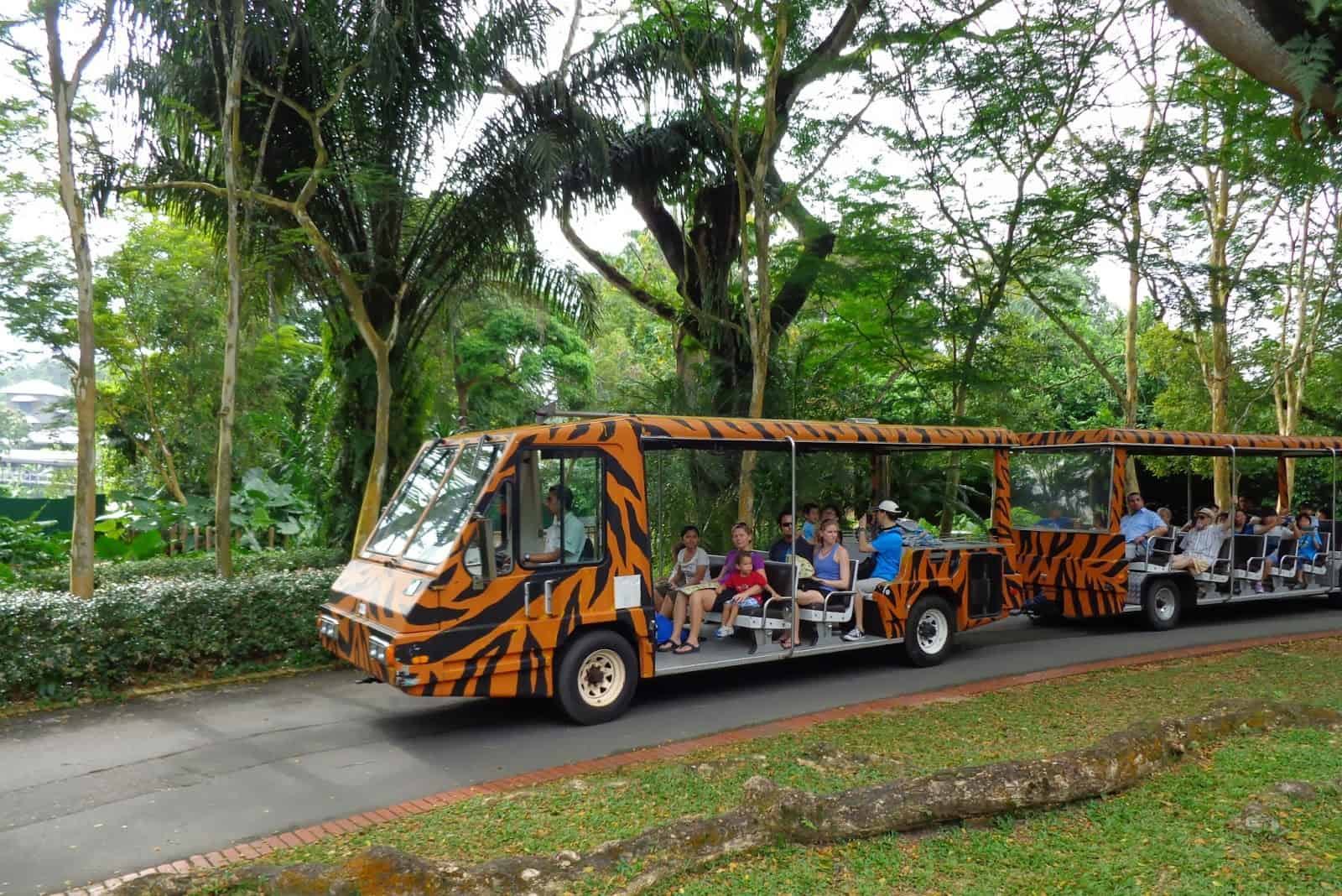 Singapore Zoo with Tram Ticket Only