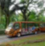 Singapore Zoo with Tram Ticket Only