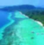 Elephant Beach tour with Complimentary Snorkeling
