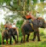 Thekkady Wildlife, Nature & Cultural Experience