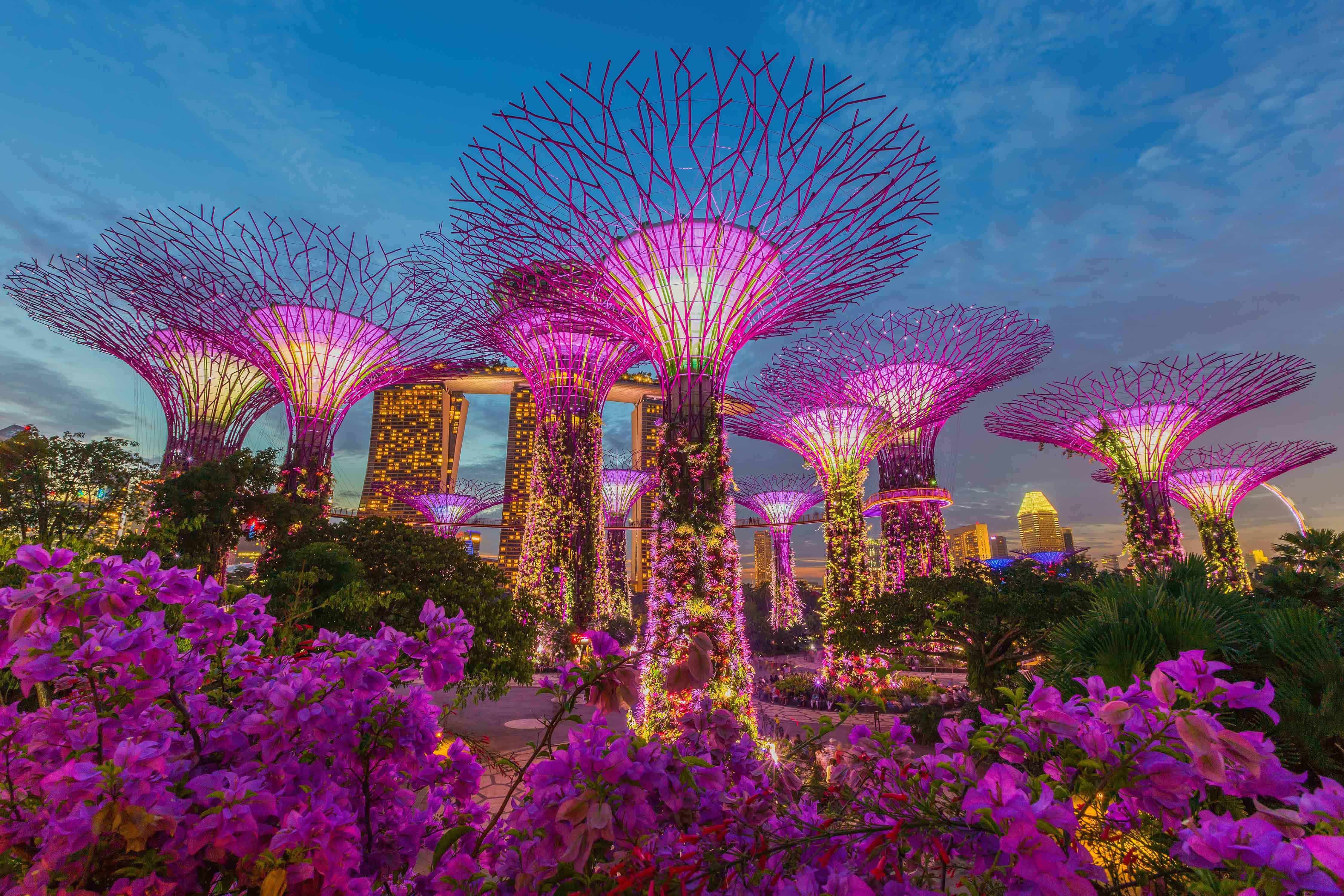 Gardens by the bay with shared transfers 