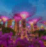 Gardens by the bay (Cloud forest and Flower dome) with shared transfers