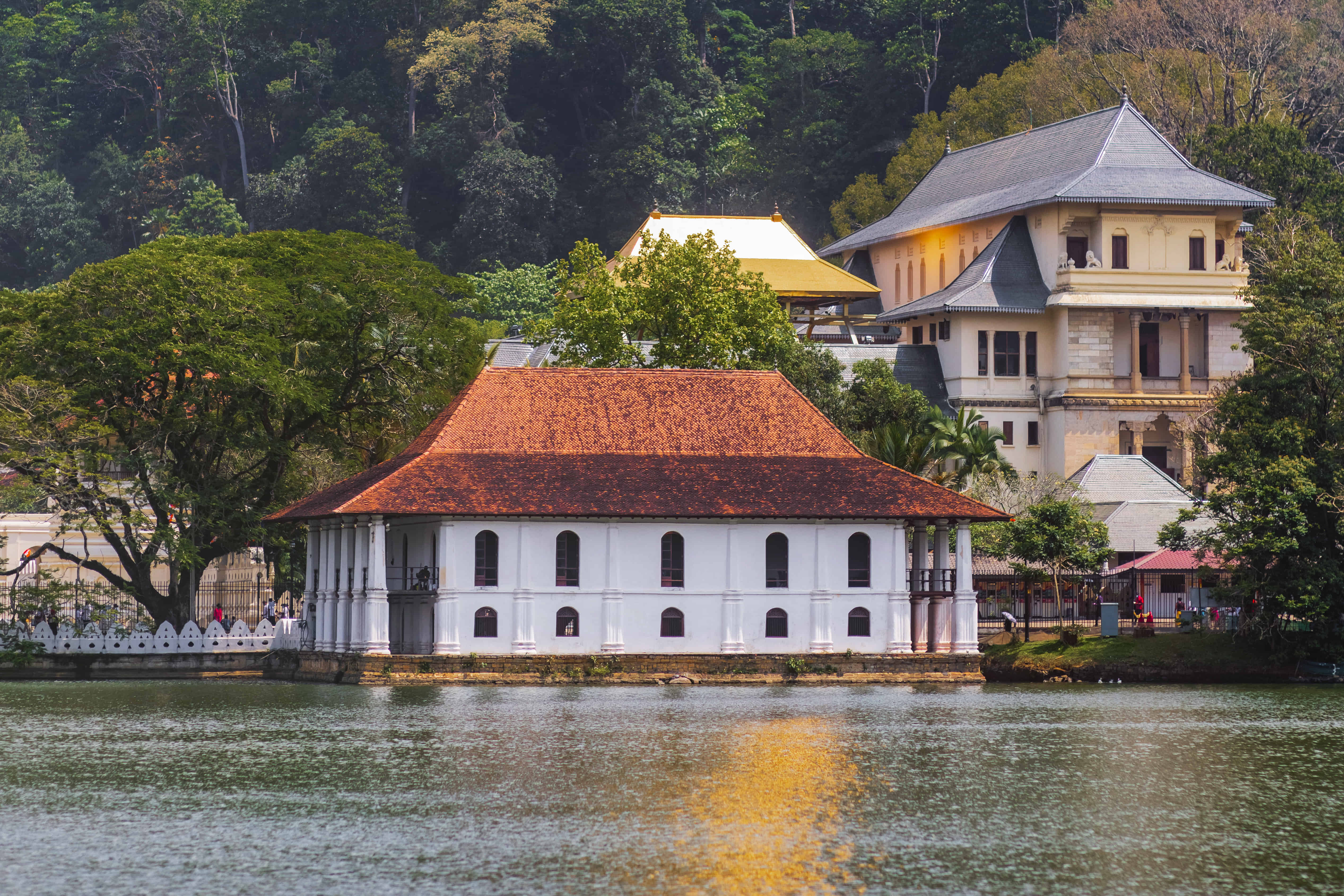 Kandy in Focus: Devalaya, Botanical Garden, Museum, Temple of the Tooth Relic & Kandy Cultural Show