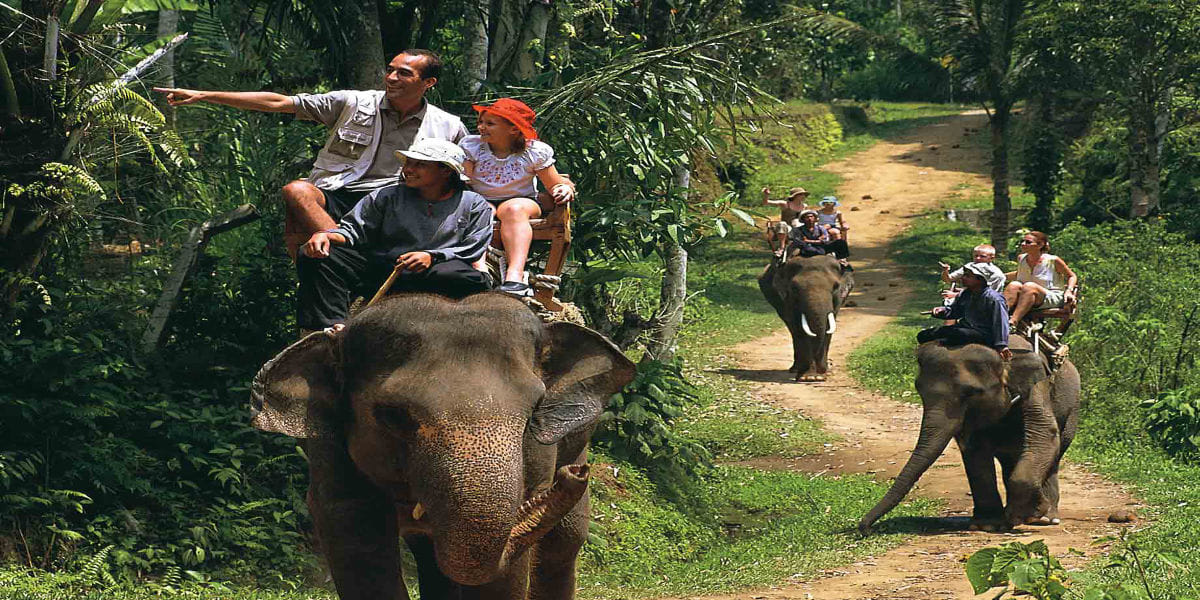 Phuket - Bareback Elephant Riding Only 30 min - Shared Transfer - C1