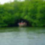 Bentota Day Tour with Madhu River Safari, Turtle Hatchery and Water Sports