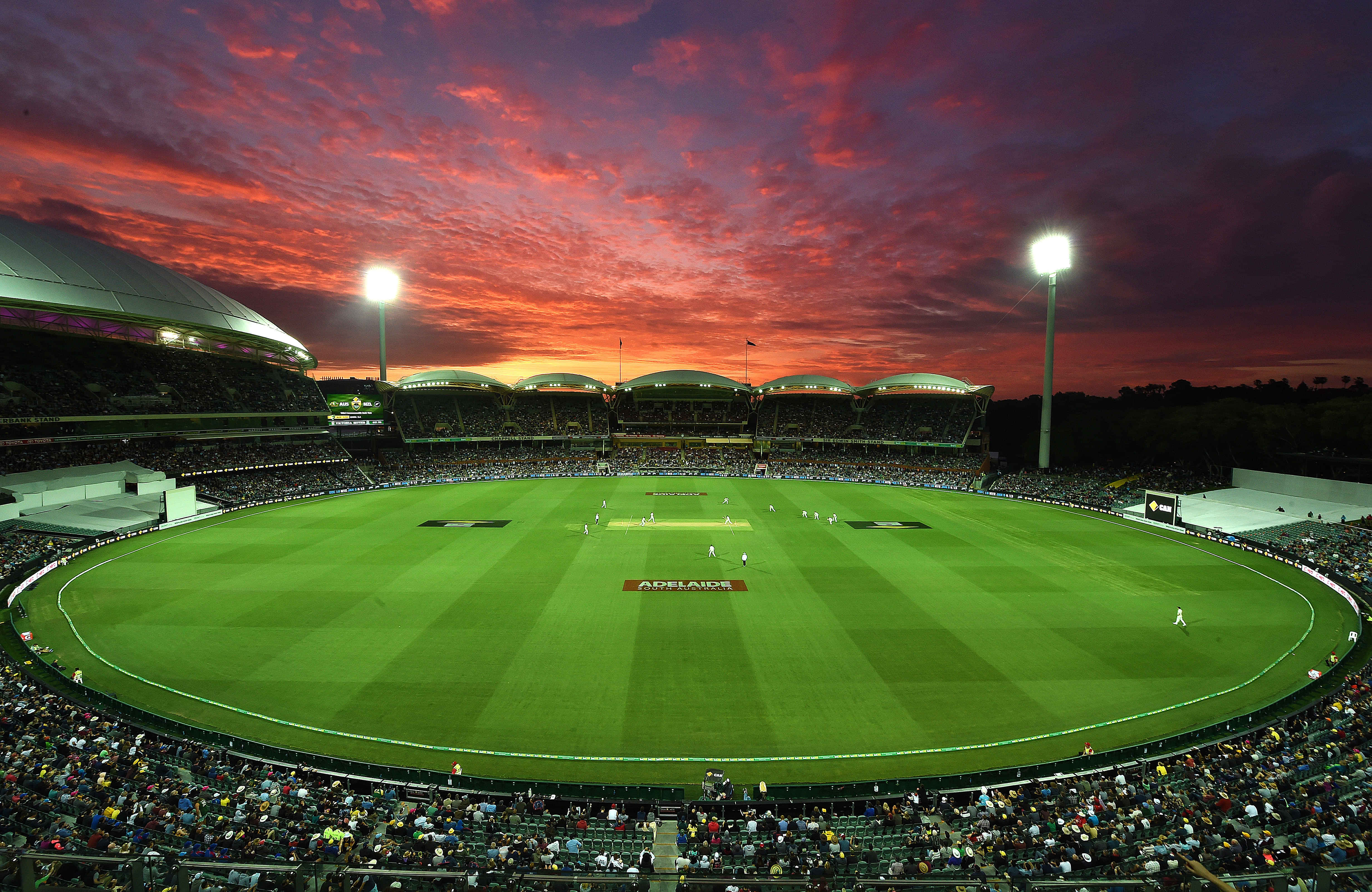 Adelaide Cricket Match- valid only on 2nd November