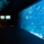 Aquarium Phuket (Pick up for hotels in Patong, Kata, Karon & Kamala)