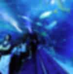 Aquaria KLCC Admission Ticket