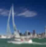 Auckland Harbour Sailboat Cruise Including Three Course Dinner