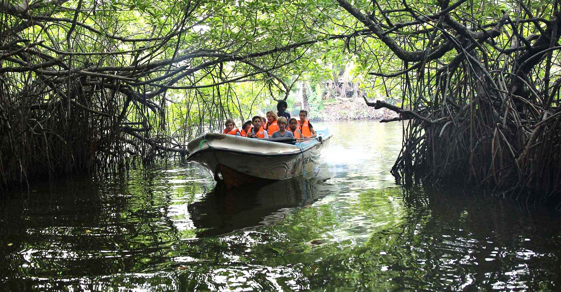 Bentota city tour - Madhu River Ride , Turtle Hatchery , Cinnamon Factory , water sports.