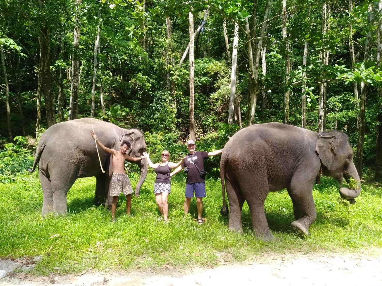 BAREBACK ELEPHANT RIDING ONLY 30 MINS  (Pick up for hotels in Patong, Kata, Karon & Kamala)