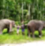 BAREBACK ELEPHANT RIDING ONLY 30 MINS (Pick up for hotels in Patong, Kata, Karon & Kamala)