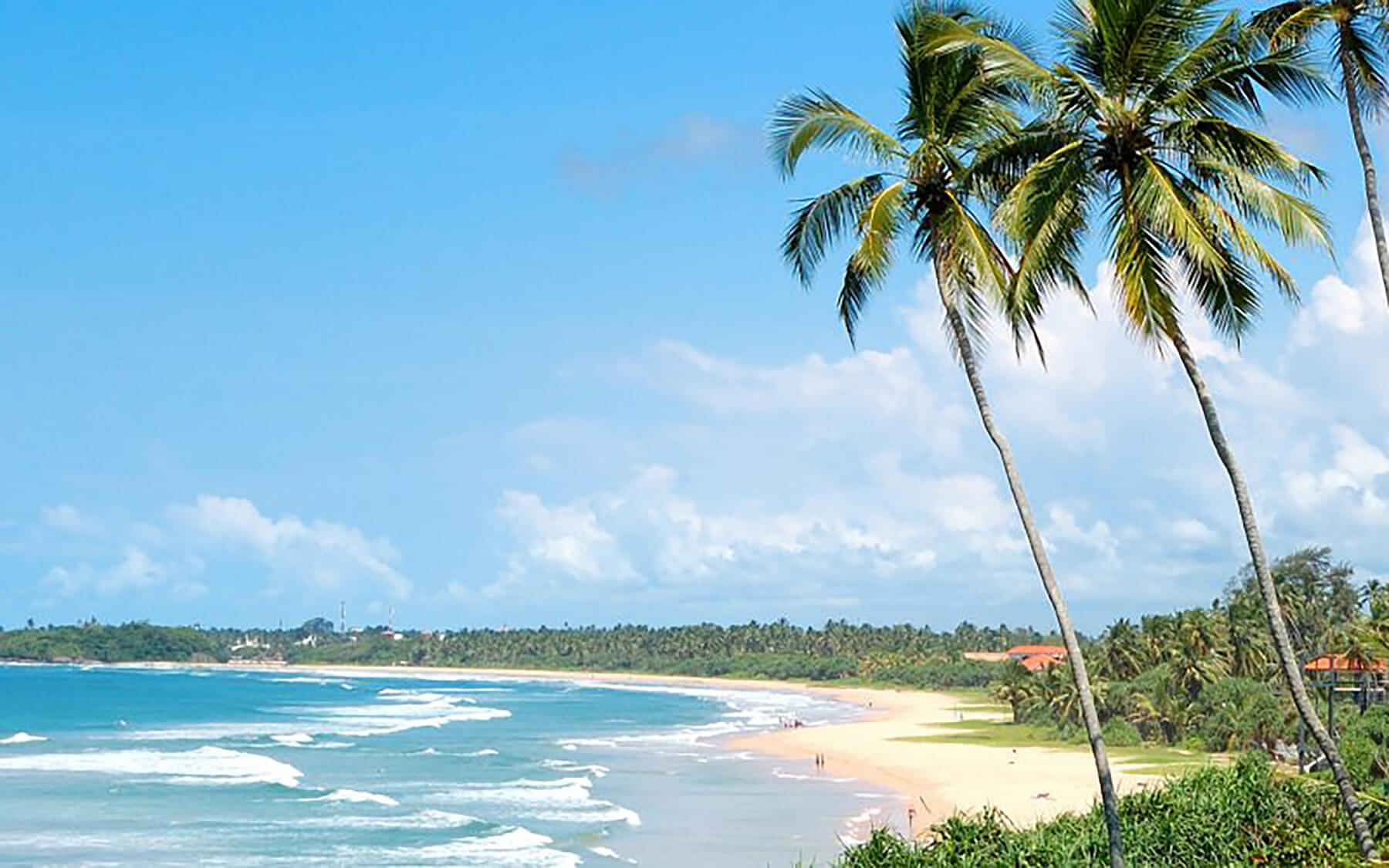 Bentota Day excursion from Colombo with Lunch - PVT Transfers