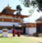 Visit to Chimi Lhakhang