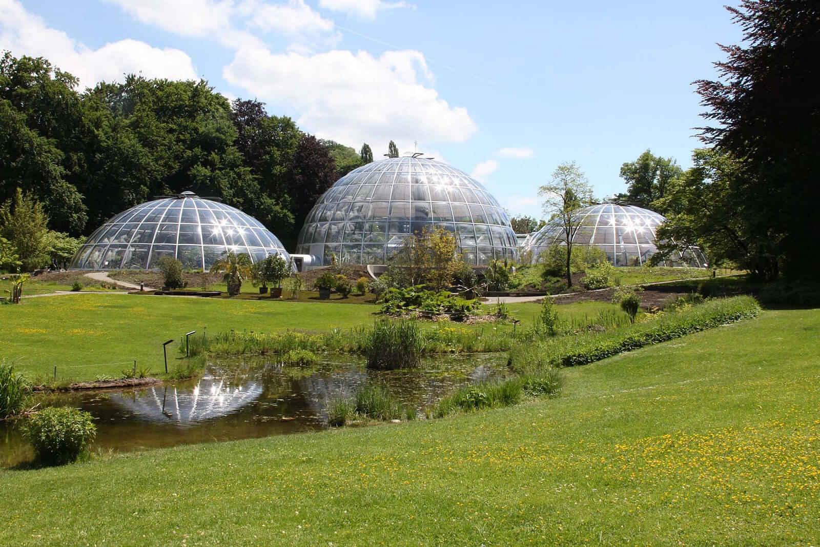 Botanical Garden of the University of Zurich