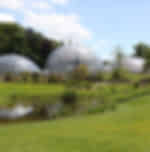 Botanical Garden of the University of Zurich