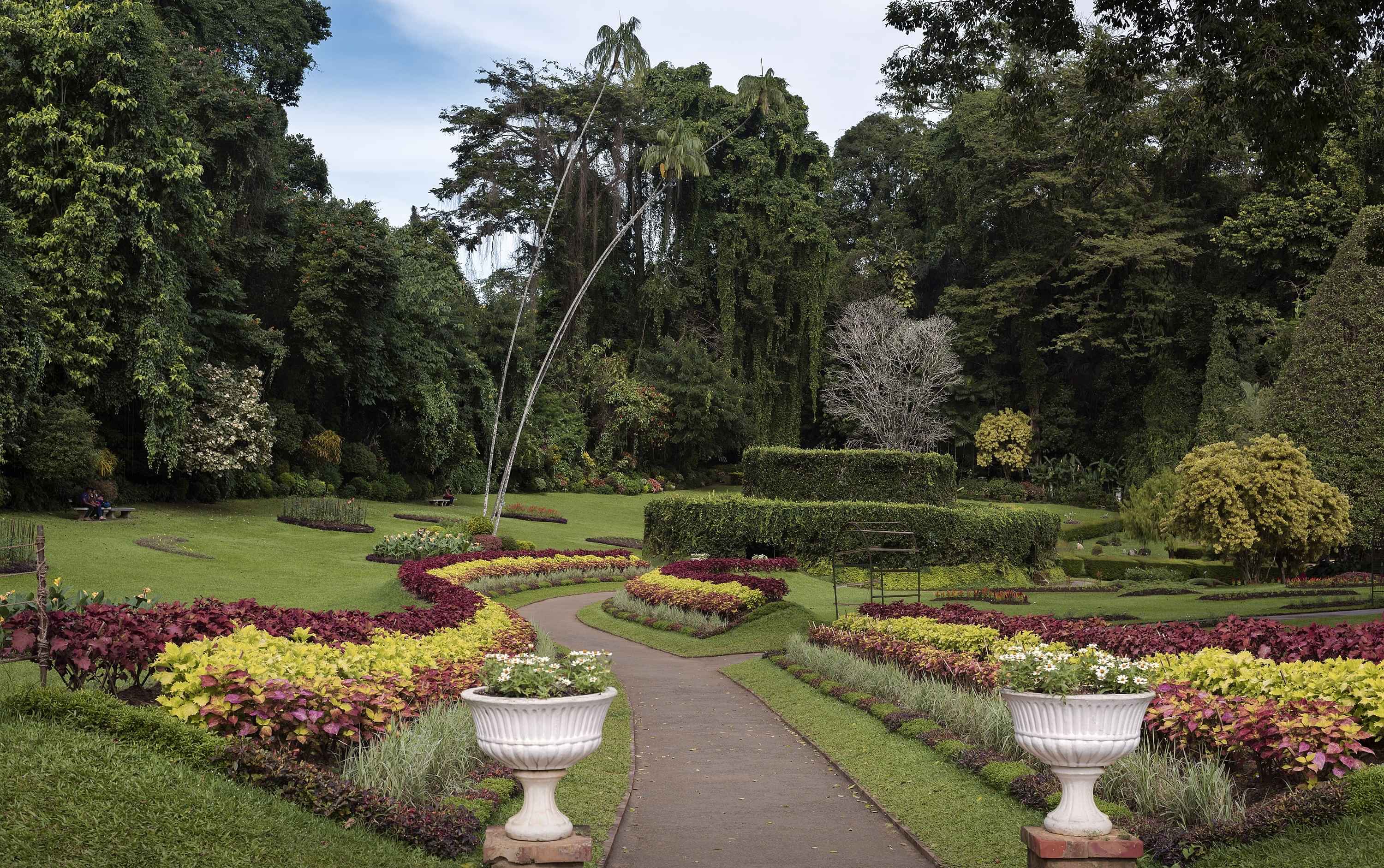 Peradeniya Botanical Gardens + Orientation Tour of the City on private basis