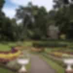 Peradeniya Botanical Gardens + Orientation Tour of the City on private basis
