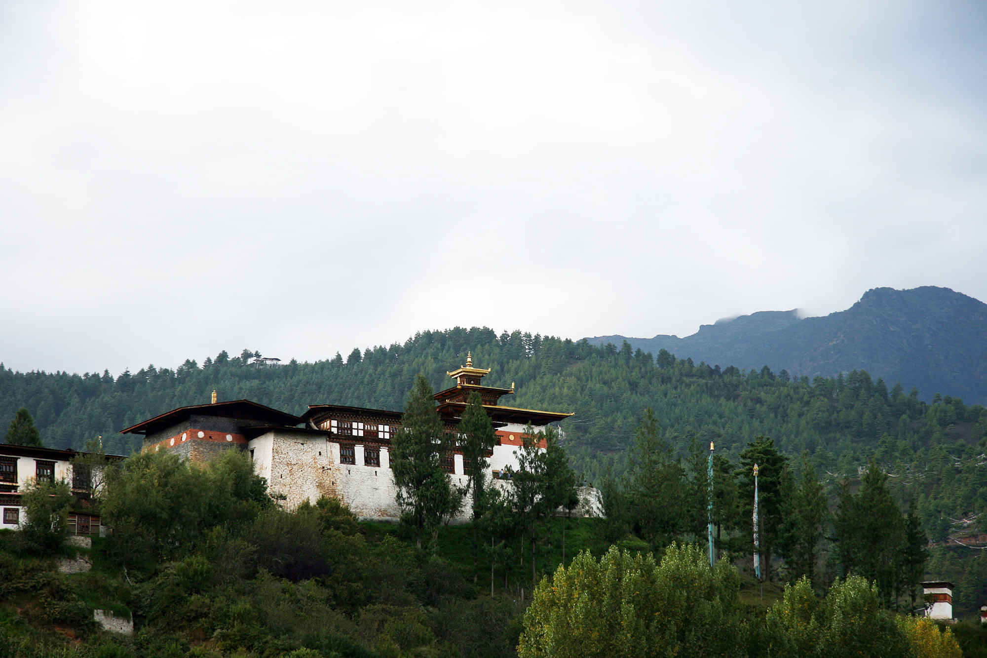 Bhutan Spiritual and Wildlife Adventure: Changangkha Lhakhang, Takin Zoo and Craft Bazaar Tour