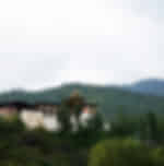 Bhutan Spiritual and Wildlife Adventure: Changangkha Lhakhang, Takin Zoo and Craft Bazaar Tour