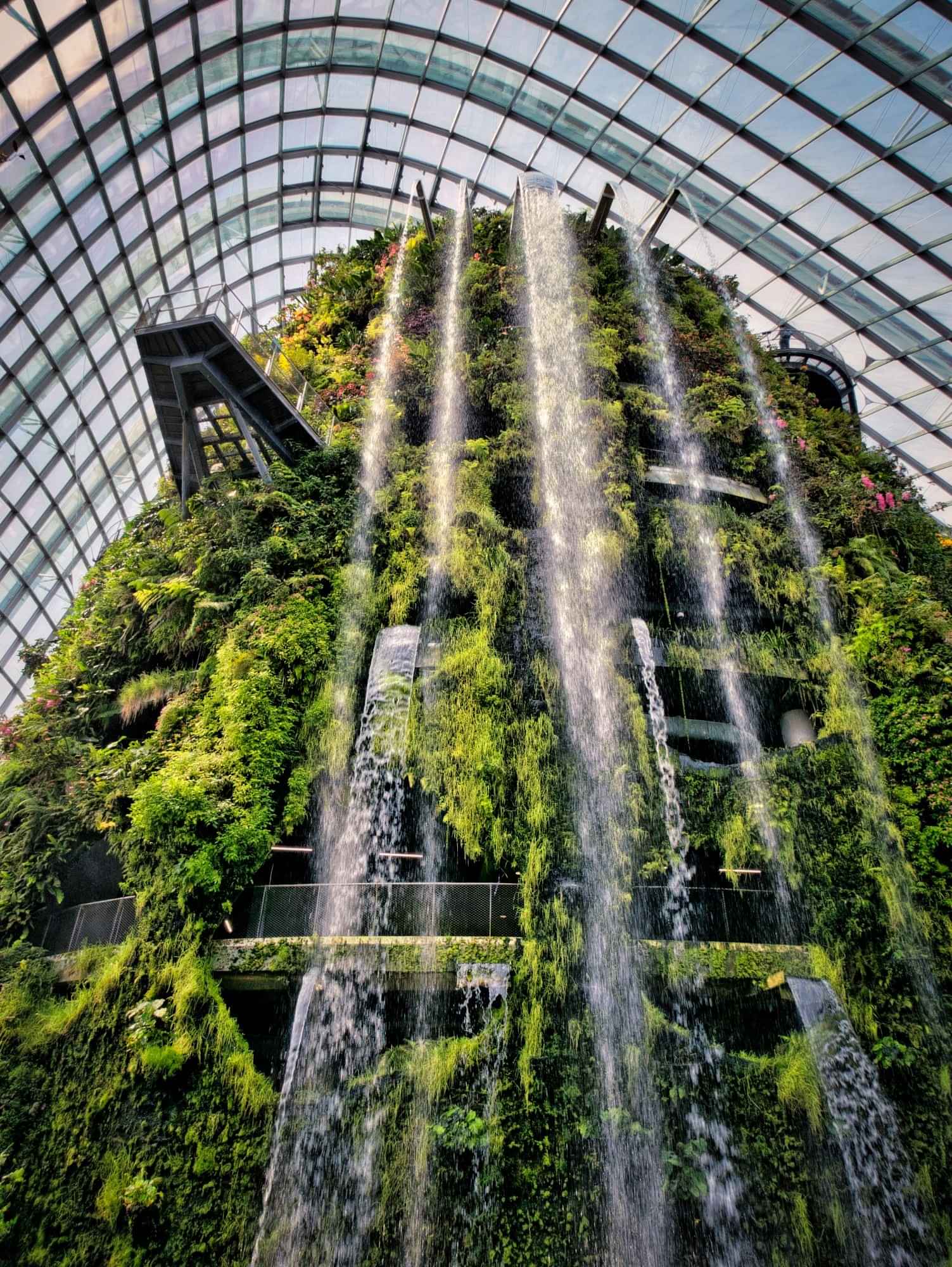  MBS with Gardens by the bay [Flower dome (INCLUDING IMPRESSIONS OF MONET: THE EXPERIENCE)+Cloud forest] With private transfers